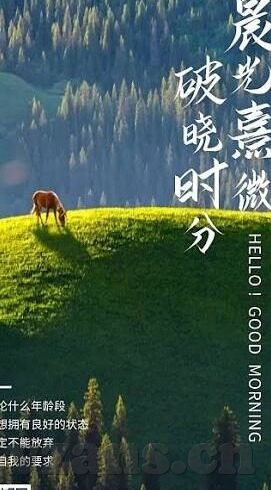 成人影视频-成人影视频，社会现象与伦理思考