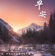 大象视频下载app免费版-免费版大象视频下载APP，便捷观影新选择
