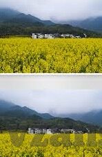 麻豆视频app在线下载-探秘新视界，麻豆视频APP在线下载的多元体验