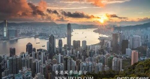 糖心直播app差不多的-丰富度，探索多元化娱乐——虚拟平台新体验